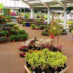 Garden Centre - Open Retail Solutions