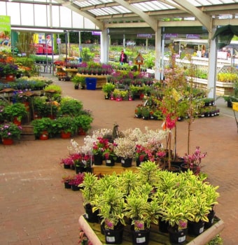 EPoS for Garden Centres & Nurseries - Open Retail Solutions